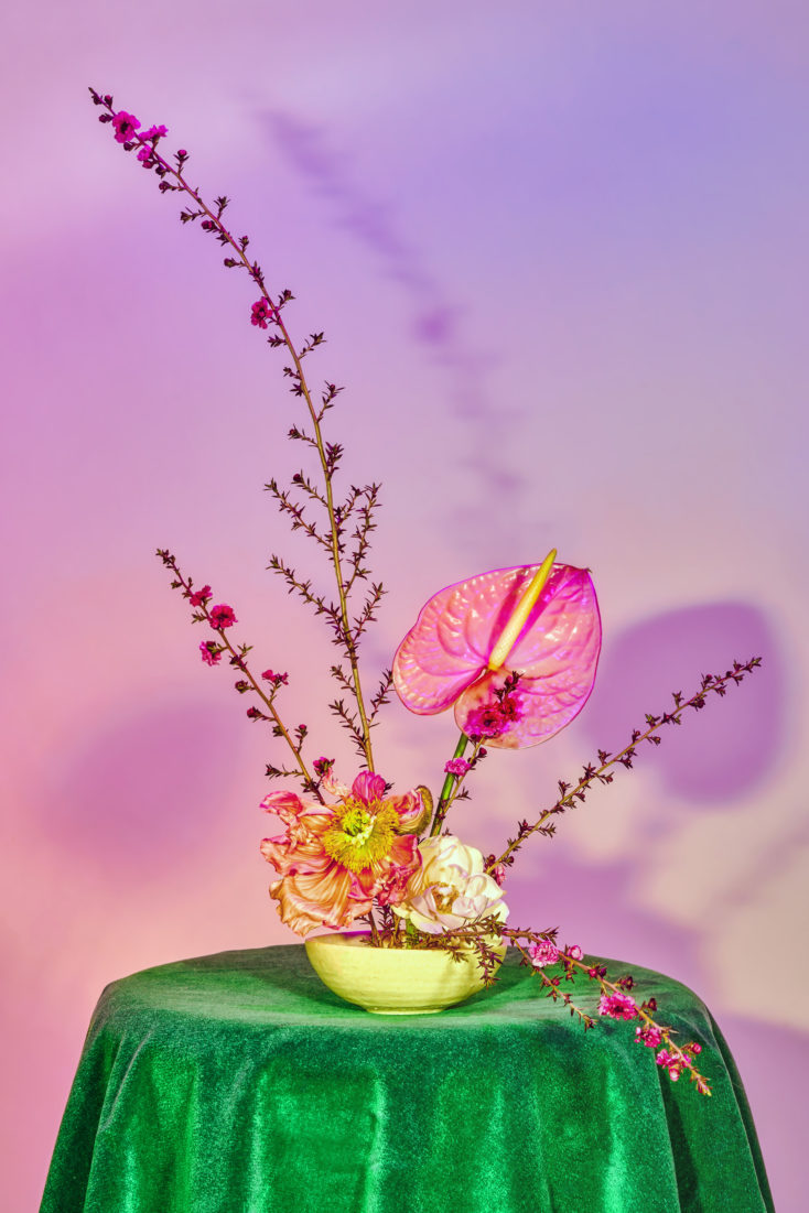 Floral Aura / Artful Desperado