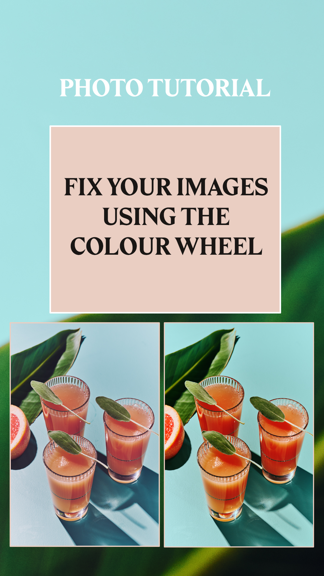 Food Photography Tutorial: fix colour cast and other colour issues using the colour wheel and photoshop.